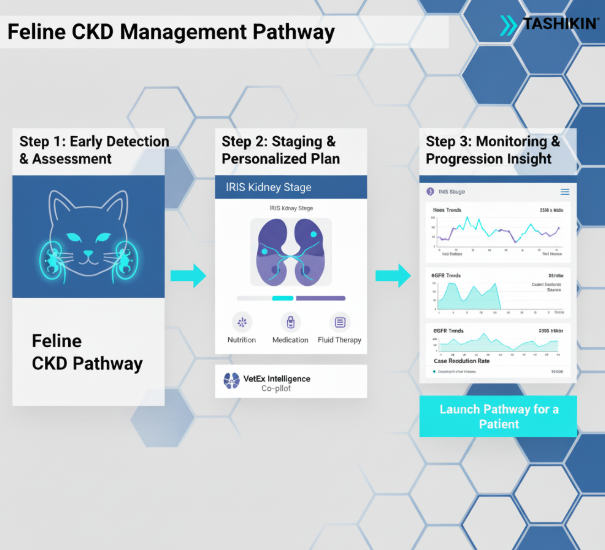 مسار مميز حول إدارة مرض الكلى المزمن في القطط