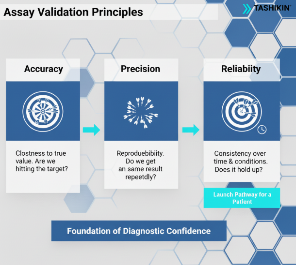 A stylized microscopic view of various viruses and bacteria, representing infectious diseases.