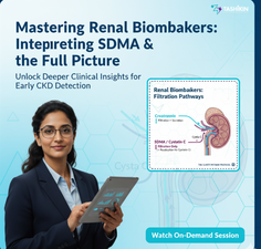 Miniatura webináře pro interpretaci SDMA