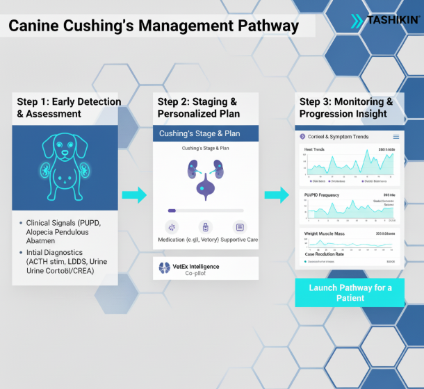 صورة مصغرة لمسار مرض كوشينغ في الكلاب