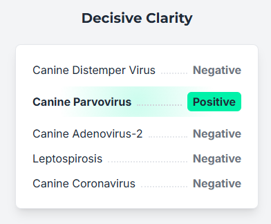 Visão microscópica de vários patógenos.